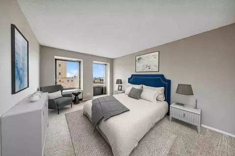 441 Erie St, Chicago, IL 60611 photo 40