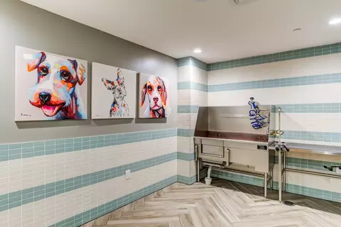 4401 Telfair Blvd, Camp Springs, MD 20746 photo 26