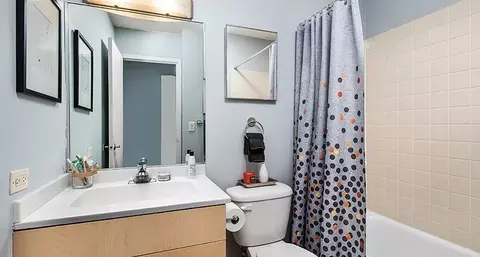 1212 S Michigan Ave, Chicago, IL 60605 photo 5