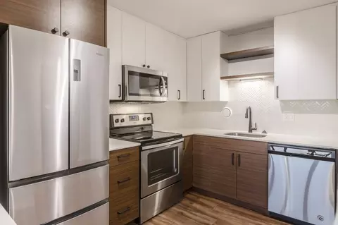 1212 S Michigan Ave, Chicago, IL 60605 photo 8