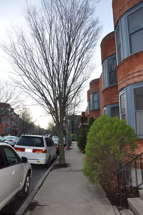 38 Ellingwood St #1, Mission Hill, MA 02120