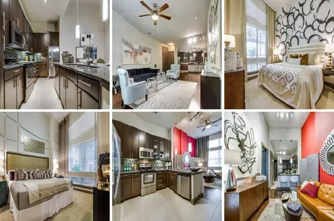 2225 Hermann Dr #150275, Houston, TX 77004