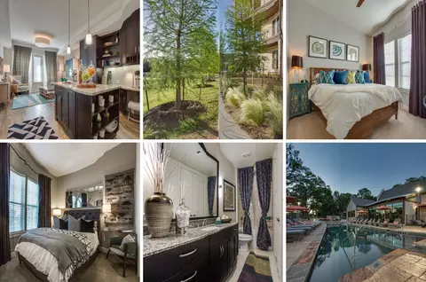 13501 Lyndhurst St #126885, Austin, TX 78717