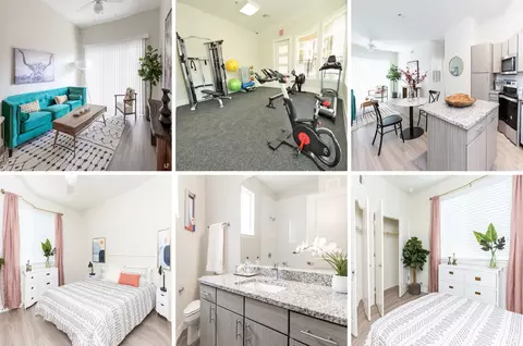 1004 W Whitestone Blvd #142944, Cedar Park, TX 78613
