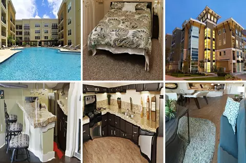 304 E Oltorf St #152863, Austin, TX 78704