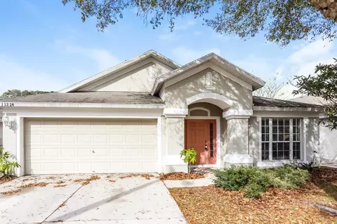 13224 Early Run Ln, Riverview, FL 33578