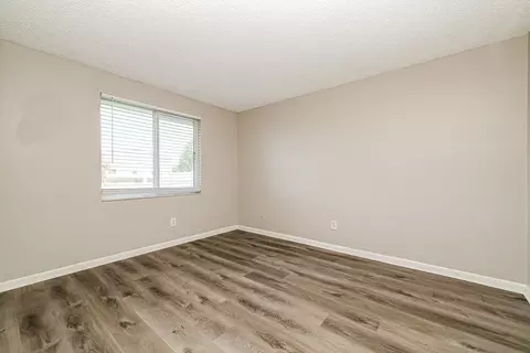 643 Pine Forest Dr, Brandon, FL 33511 photo 11