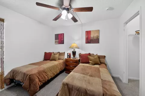 11325 N 50th St, Tampa, FL 33617 photo 131