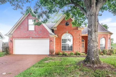1058 Green Fern Cv, Cordova, TN 38018