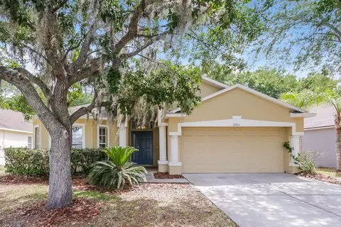 29611 Birds Eye Dr, Wesley Chapel, FL 33543