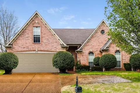 8196 Old Brownsville Rd, Arlington, TN 38002