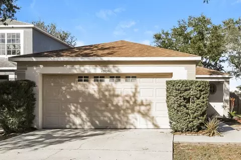 18036 Birdwater Dr, Tampa, FL 33647