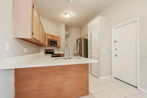 2523 Dovetail Dr, Ocoee, FL 34761 photo 8