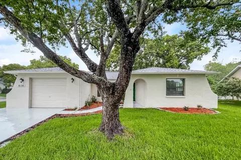 9136 Lometa Ln, Jasmine Estates, FL 34668
