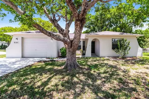 9136 Lometa Ln, Jasmine Estates, FL 34668