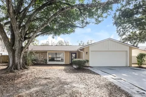 813 Regal Palm Ct, Brandon, FL 33510