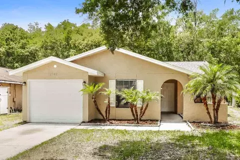 12342 Witheridge Dr, Tampa, FL 33624