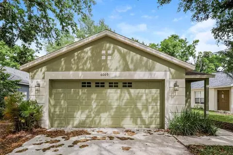 6009 Kiteridge Dr, Fish Hawk, FL 33547