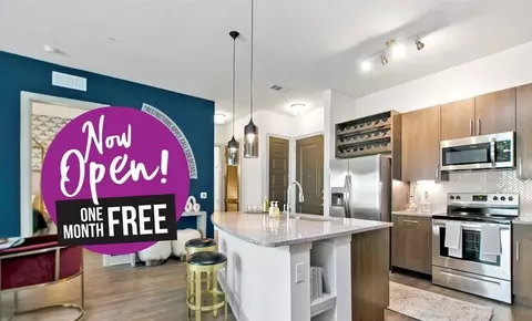 914 Marian Dr #1298, Allen, TX 75013