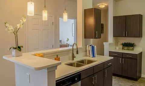1626 SW Wilshire Blvd #2339, Burleson, TX 76028