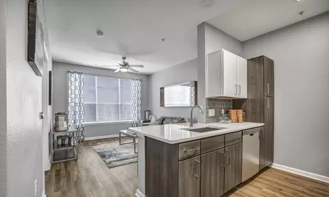 715 W 22nd St UNIT 116, Austin, TX 78705
