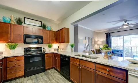 8606 W Highway 71 #1193, Austin, TX 78735
