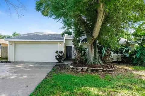 1191 Mineola Cir, Palm Harbor, FL 34683