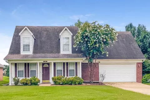 1195 Sir Doyle Cv, Southaven, MS 38671