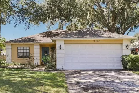 17802 Fallowfield Dr, Lutz, FL 33549