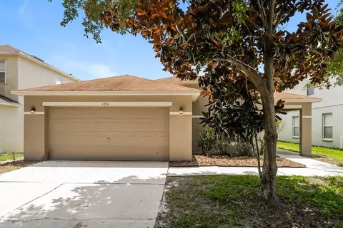 13511 Blue Sunfish Ct, Riverview, FL 33569