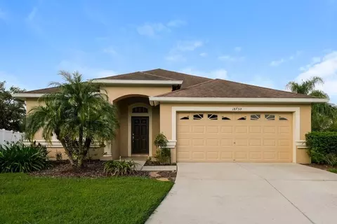 18750 Narimore Dr, Land O Lakes, FL 34638