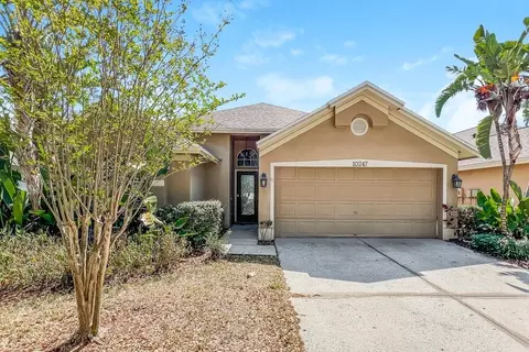 10247 Oasis Palm Dr, Town N Country, FL 33615