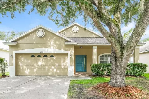 12923 Terrace Springs Dr, Temple Terrace, FL 33637