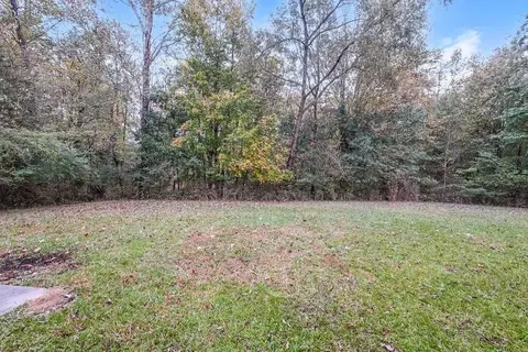 1243 Shady Brook Ct, Hampton, GA 30228 photo 17