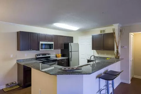 Undisclosed, Palm Harbor, FL 34684