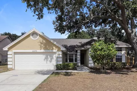 10201 Evening Trail Dr, Riverview, FL 33569