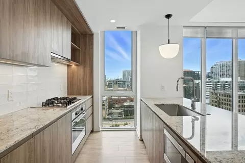 369 W Grand Ave #2-2, Chicago, IL 60654