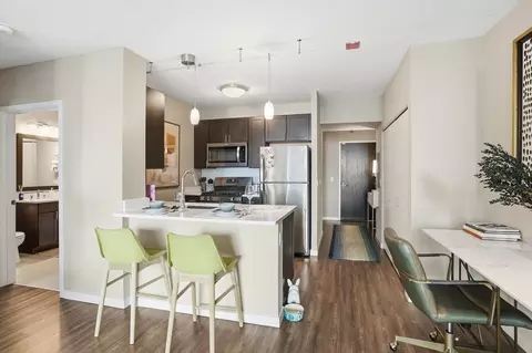 355 E Ohio St, Chicago, IL 60611