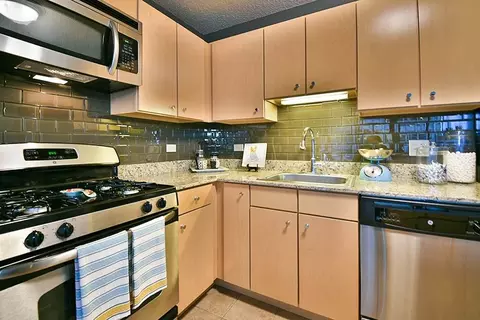 225 N Columbus Dr, Chicago, IL 60601