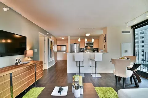 225 N Columbus Dr #1-1, Chicago, IL 60601
