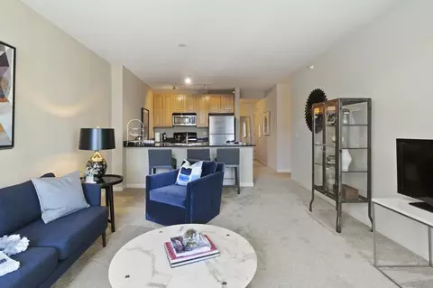 353 N Desplaines St #1-1, Chicago, IL 60661