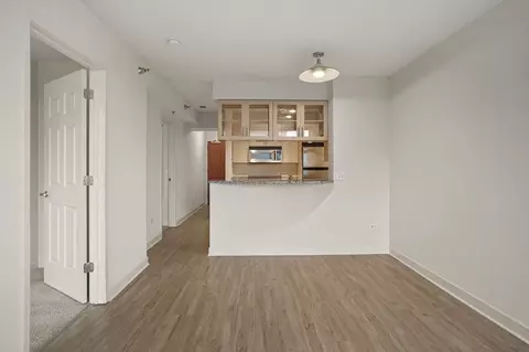1255 S Michigan Ave #1-1, Chicago, IL 60605