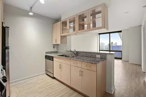 1255 S Michigan Ave #1-1, Chicago, IL 60605