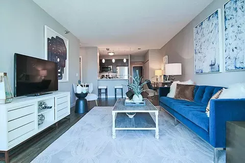 355 E Ohio St #1-1, Chicago, IL 60611