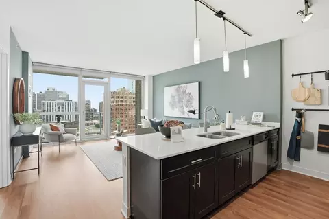 1225 N Wells St #1-1, Chicago, IL 60610