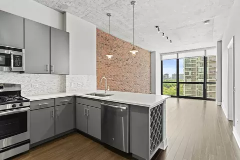 850 S Clark St #1-1, Chicago, IL 60605