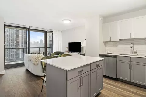 400 E South Water St #1-1, Chicago, IL 60601