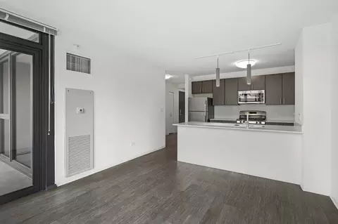 165 W Superior St #1-1, Chicago, IL 60654