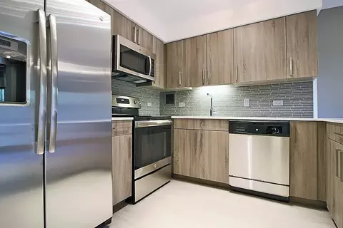 901 S Ashland Ave #1-1, Chicago, IL 60607