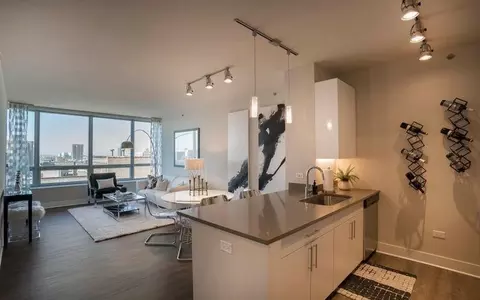 801 S Financial Pl #1-1, Chicago, IL 60605